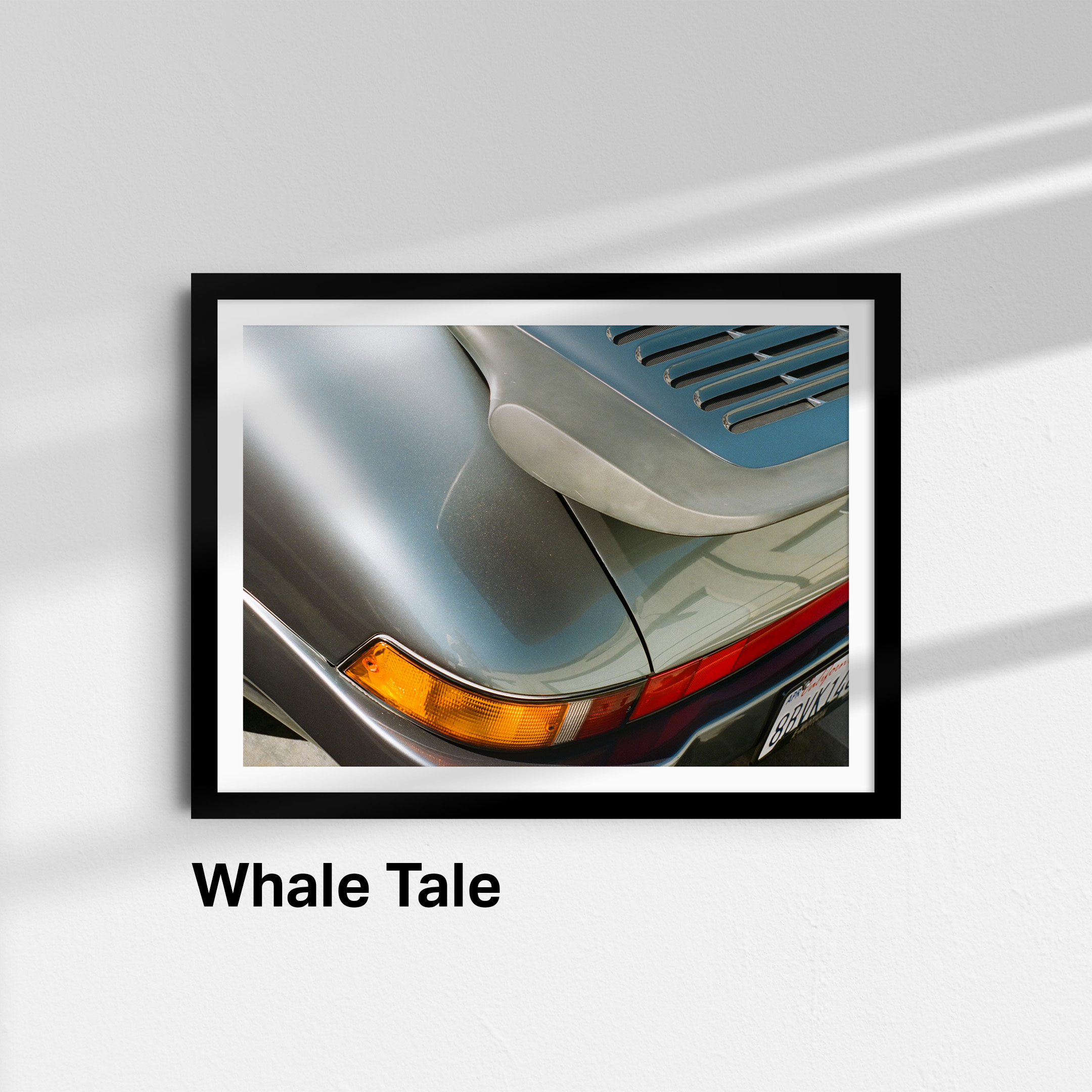 Whale Tale Name