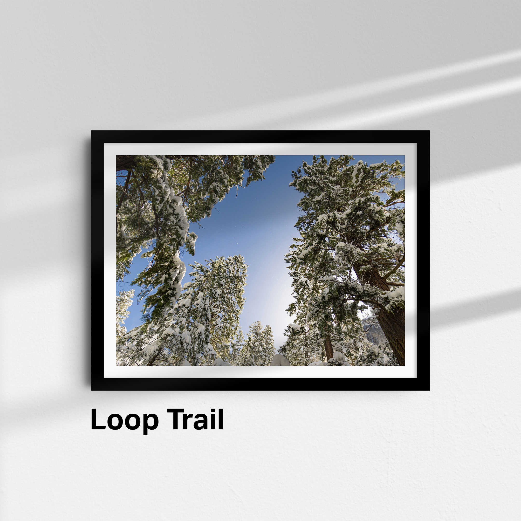 loop trail