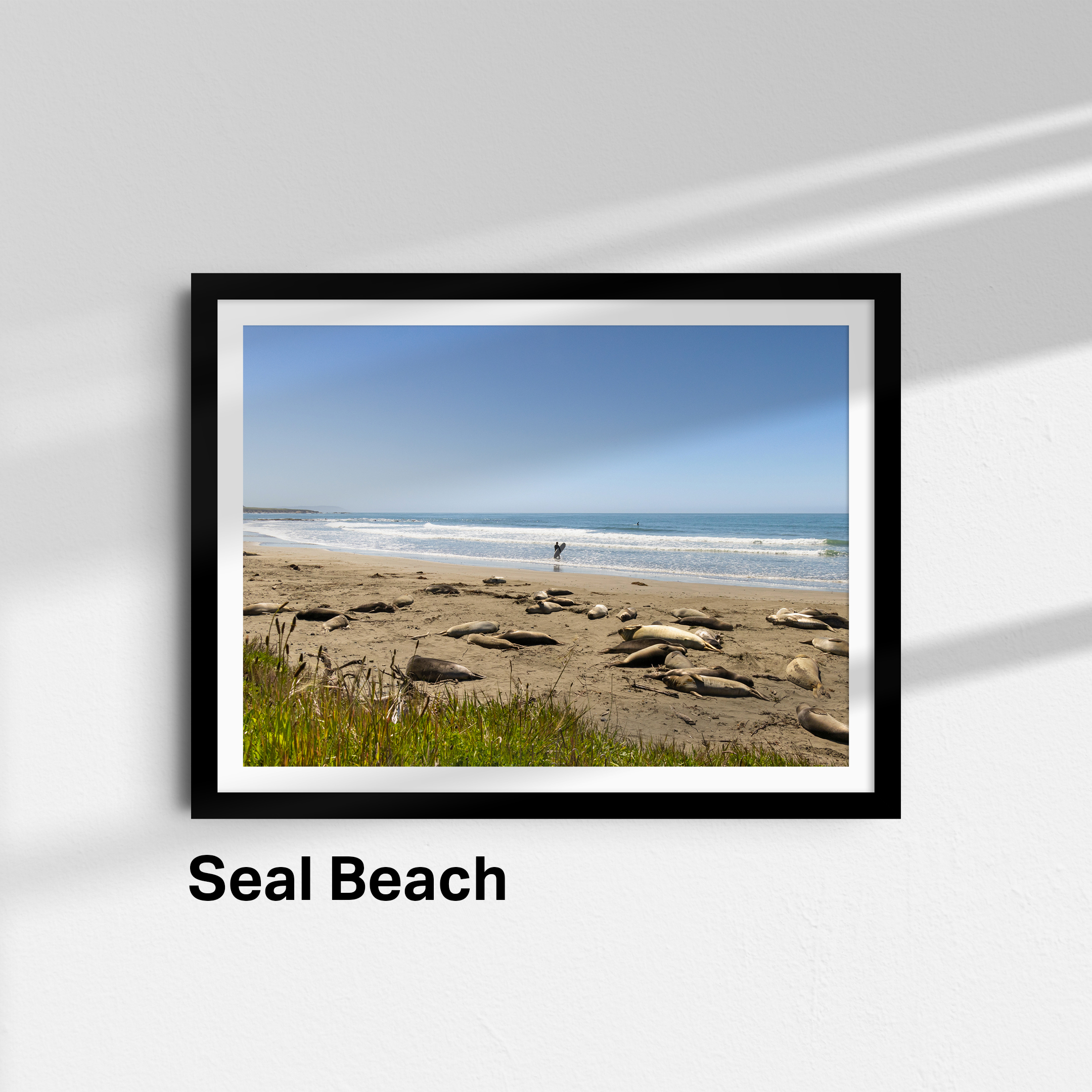 seal beach